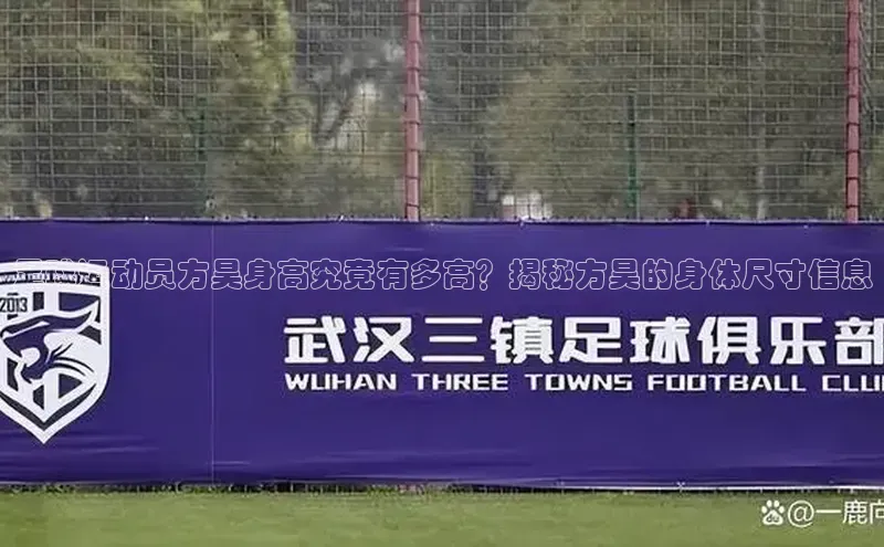 耀世娱乐平台登录百度技术学院足球运动员方昊身高究竟有多高？揭秘方昊的身体尺寸信息