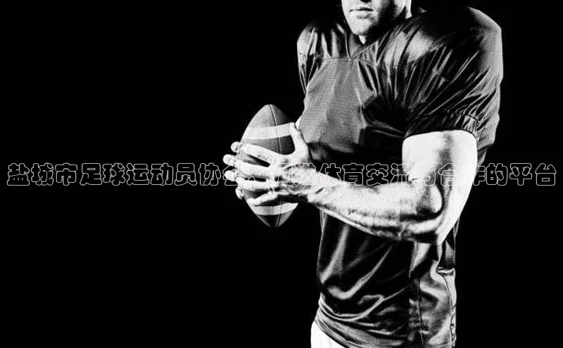 耀世平台登录网页版百度识图盐城市足球运动员协会：促进体育交流与合作的平台