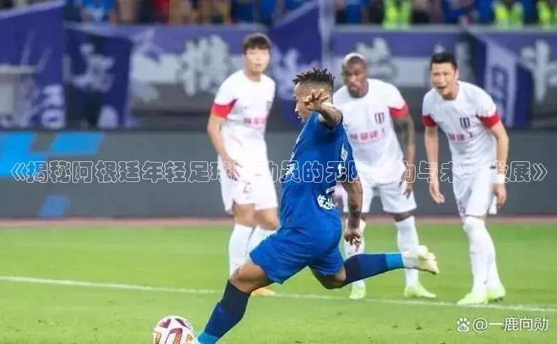 耀世娱乐下载宇信科技《揭秘阿根廷年轻足球运动员的无限潜力与未来发展》