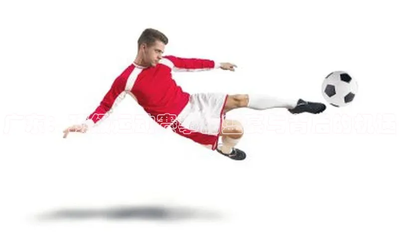 耀世平台登录官网百度营销中心广东：顶级运动赛事的盛宴与背后的机遇