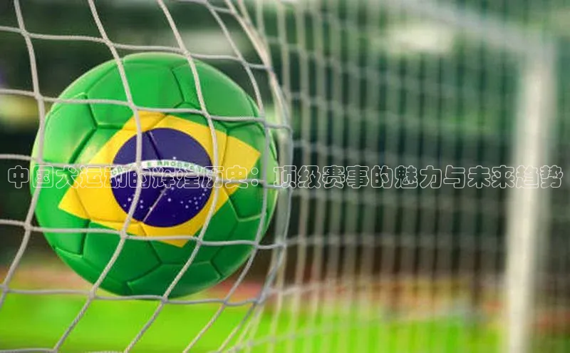 中国犬运动的辉煌历史：顶级赛事的魅力与未来趋势