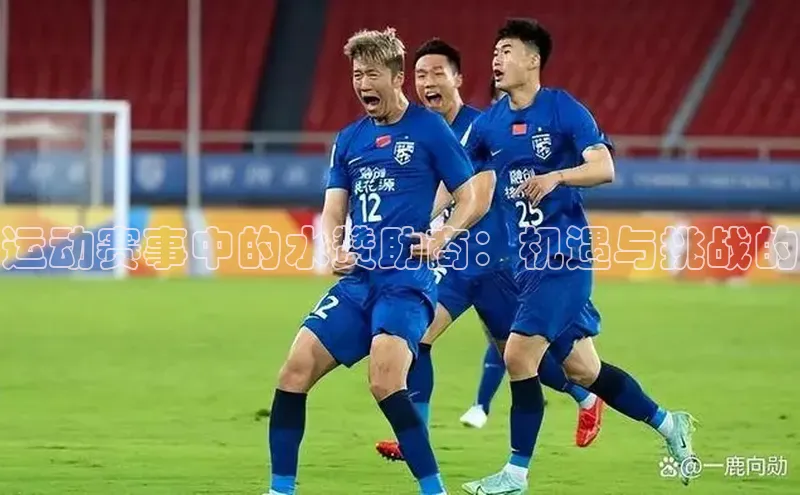 运动赛事中的水赞助商：机遇与挑战的