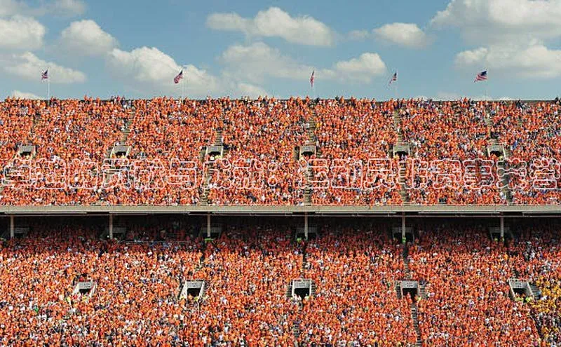 卓越的贡献与成就：运动员非赛事荣誉