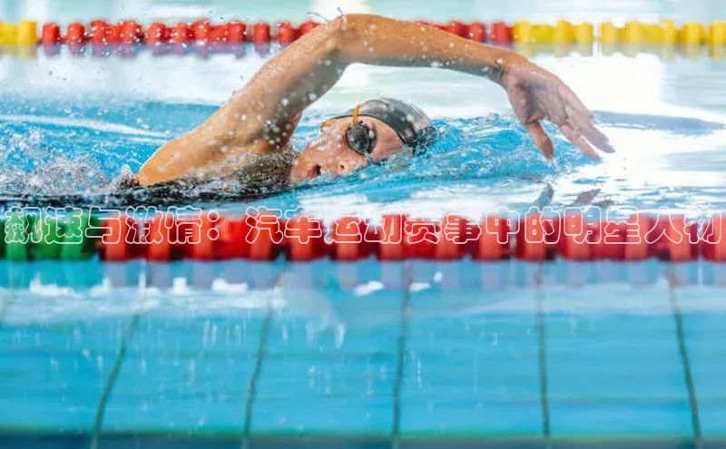 飙速与激情：汽车运动赛事中的明星人物