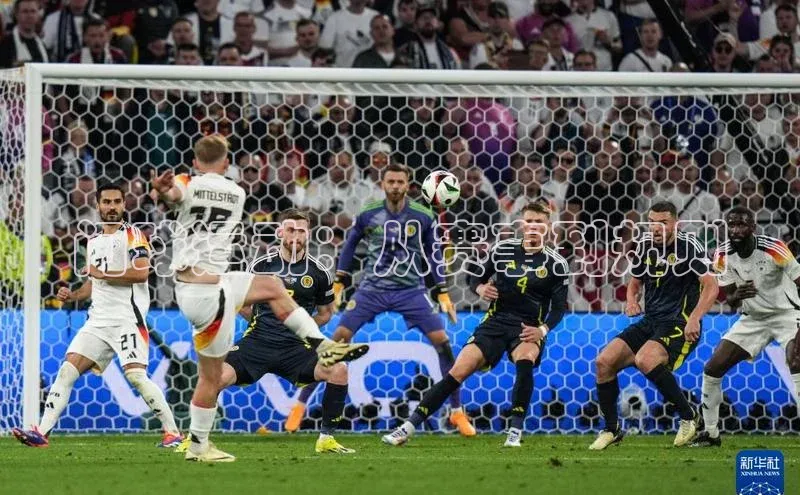 门球运动：从赛事到规则