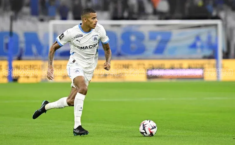 审批公示：庆祝年度重要运动赛事的筹备与筹备过程公开透明通知