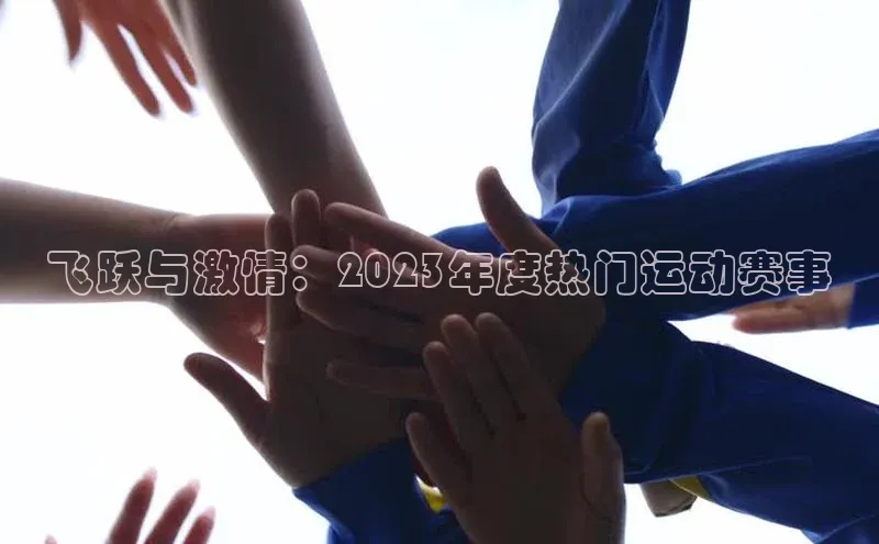 飞跃与激情：2023年度热门运动赛事