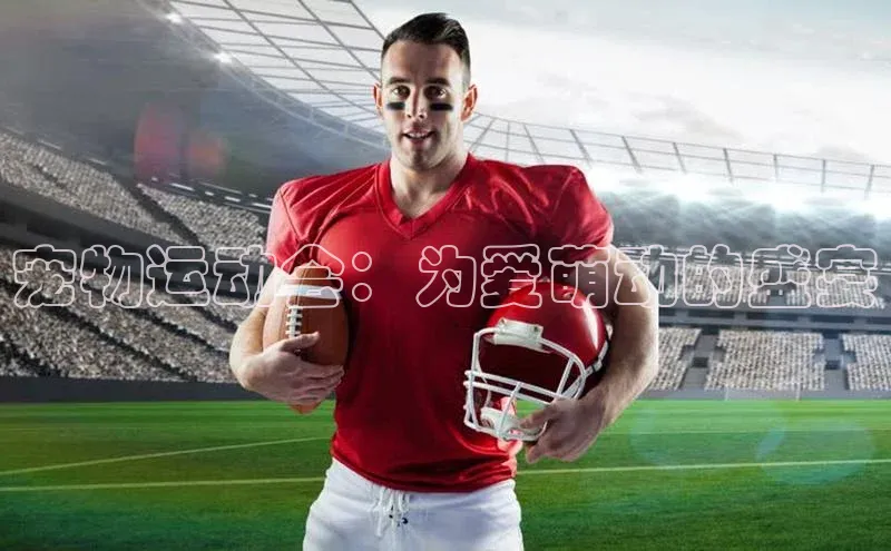 宠物运动会：为爱萌动的盛宴