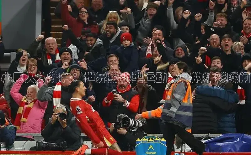 小巨人大舞台：世界级小型运动赛事的精彩瞬间