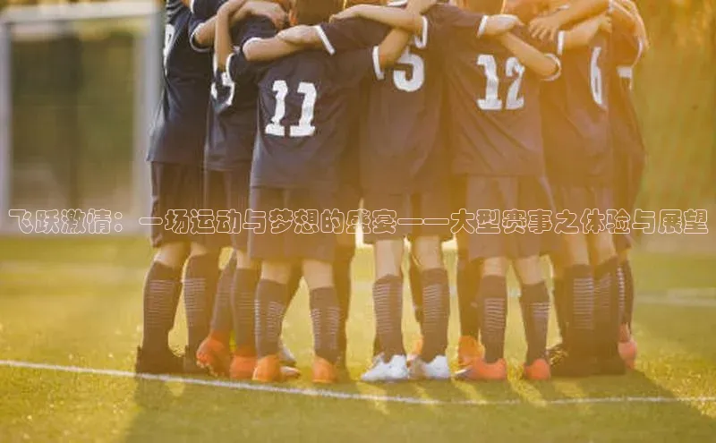 飞跃激情：一场运动与梦想的盛宴——大型赛事之体验与展望